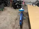 Beach cruiser