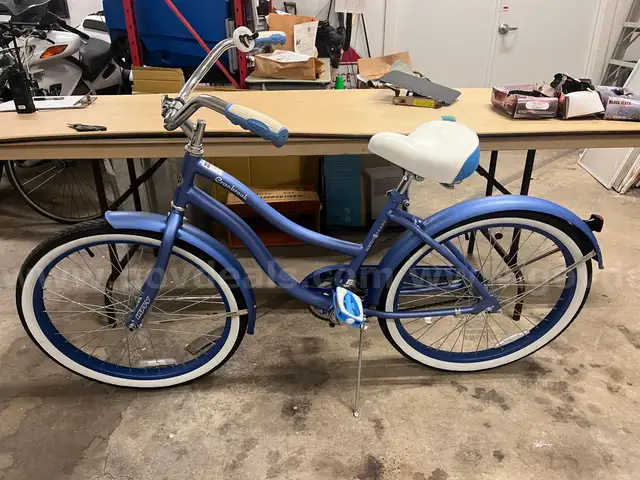 Beach cruiser