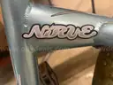 Beach cruiser