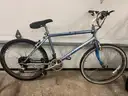 Vintage Cannondale