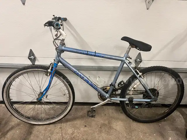 Vintage Cannondale