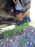 2006 Ford F-550 Flatbed Truck