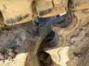 2014 Bobcat E85 Hydraulic Excavator