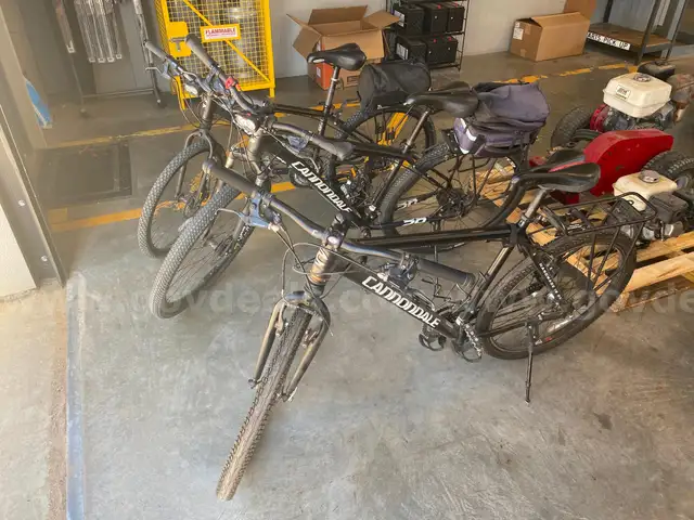Lot of 3 PD Bicycles