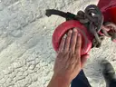 Sandblaster Tank