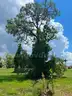 Buildable End Lot in Punta Gorda, Florida, Burnt Store Lakes