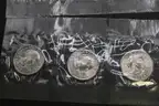 Lot of Proof Coins