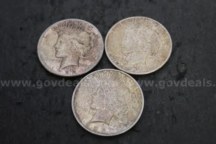 Lot of (13) Coins