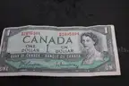Lot of Foreign Dollar &#x26; (4) US Coins