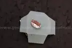 Lot of (2) Coins &#x26; (4) Tie Pins