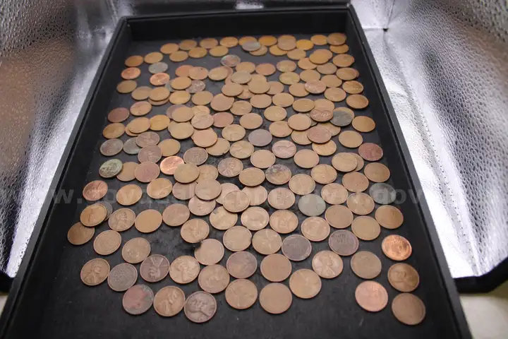 Lot of (191) US PENNIES