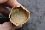 Lot of (2) Rolls of US COINS