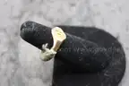 Lot of (2) Rings &#x26; (1) Necklace