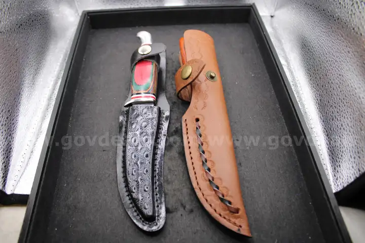 Lot of (2) Hunting Knives