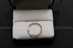 Lot of (2) Rings