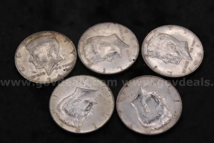 Lot of (53) US Coins