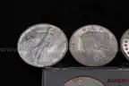 Lot of (7) Commemorative Coins