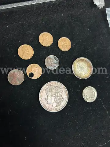 NINE US COINS: (1) 1890 MORGAN DOLLAR; (1) 1964 KENNEDY HALF DOLLAR; (1) BUFFALO NICKEL; (6) WHEAT PENNIES