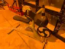 Large Lot of Various Weight Equipment and Cardio Machines