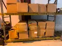 Large Lot of Various Weight Equipment and Cardio Machines
