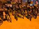 Large Lot of Various Weight Equipment and Cardio Machines