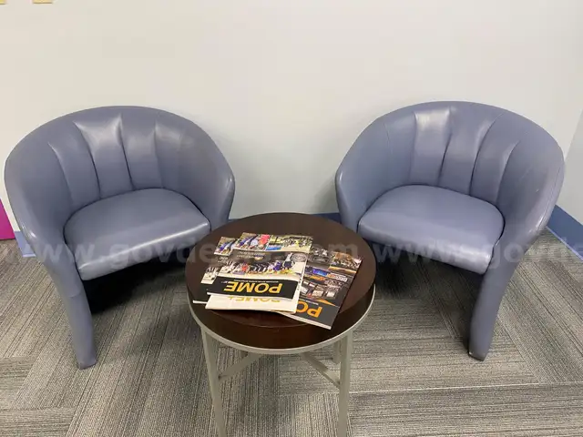 Chairs, Lounge Chairs, blue (2), Dining chairs (8)
