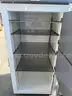 Stirling Ultracold: SU780U Ultra Low Temperature Freezer (See Description)