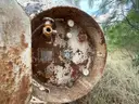 4,000 Gallon Out of Service Propane Tank