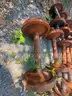 (16) COMPLETE RAILROAD WHEEL AXLE AND BEARING SETS