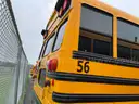 2015 Blue Bird Vision 72 Passenger Bus