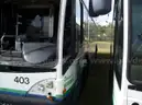 2010 Gillig Low Floor