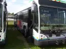 2010 Gillig Low Floor