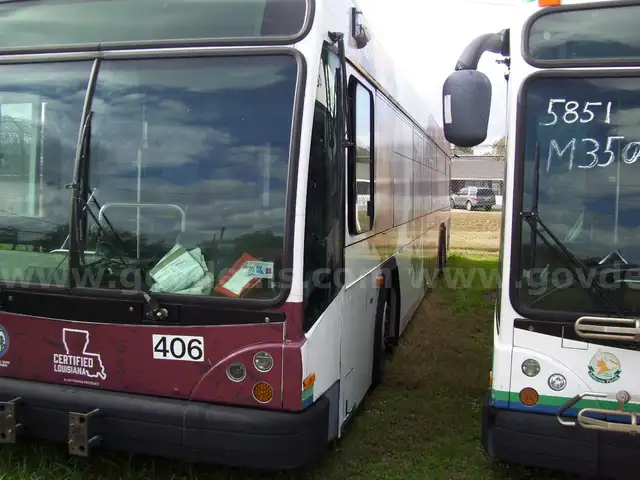 2010 Gillig Low Floor