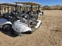 Lot of (24) Yamaha Electric Golf Carts