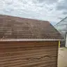 Storage Shed with Rollup Door