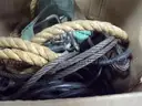 Rope/Straps &#x26; Rigging
