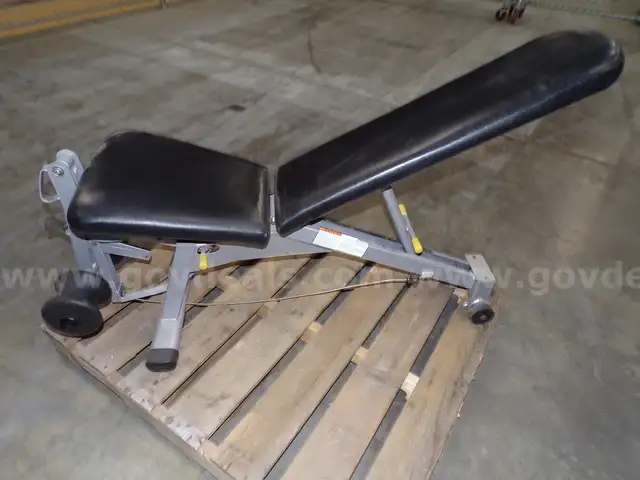 Weight Bench