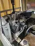 Trailer Mounted Jetter