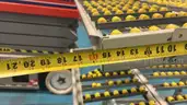 Lot of 5 Sections of Carton Flow‑Rack / Gravity‑Fed Shelving System