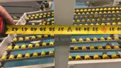 Lot of 5 Sections of Carton Flow‑Rack / Gravity‑Fed Shelving System