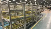 Lot of 5 Sections of Carton Flow‑Rack / Gravity‑Fed Shelving System