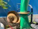 Billy Goat Leaf Blower