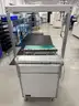 ILJIN AWT-80CE(2X) PCB Conveyor System