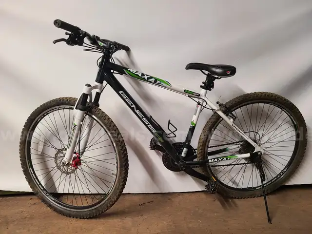 Genesis 2900 Max Air Bicycle