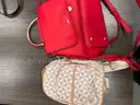 Various Brand Purse&#x27;s