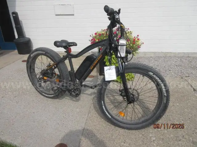 Electric Bike 1- Rad Power Bike