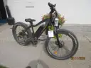 Electric Bike 1- Rad Power Bike