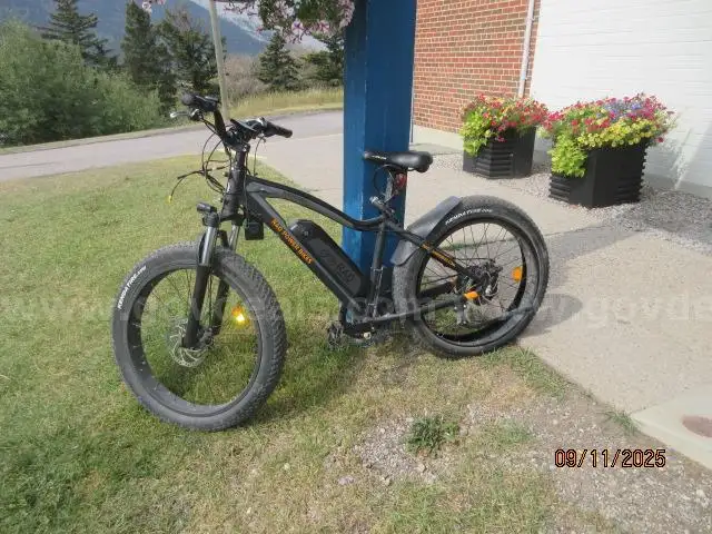 Electric Bike 2 - Rad Power Bike