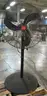 Pedestal Fans