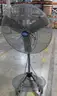Pedestal Fans